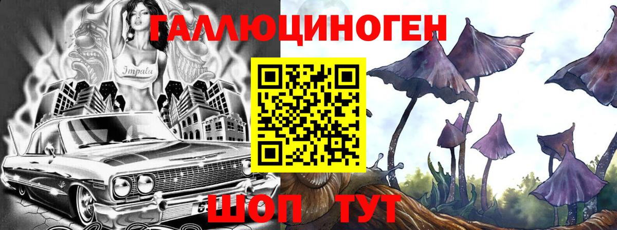 купить наркотик  Псилоцибиновые грибы MAGIC MUSHROOMS  Вход с VPN  Гурьевск 